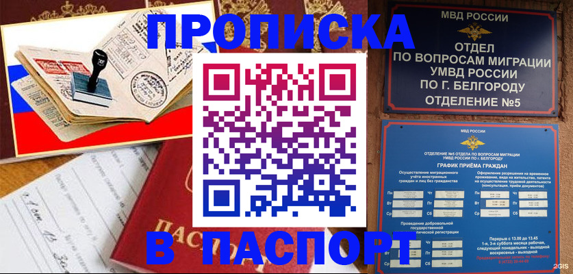 купить прописку в Щёлково